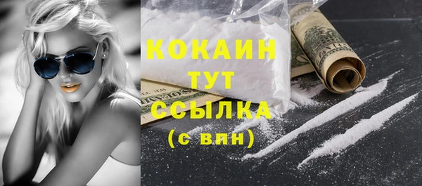 шишки Наволоки