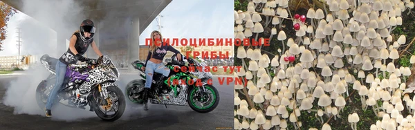 тгк Алагир