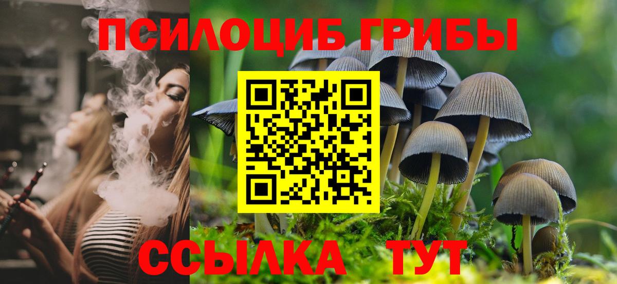 Галлюциногенные грибы GOLDEN TEACHER Надым